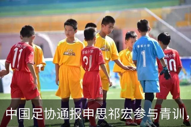 中国足协通报申思祁宏参与青训，重申终身禁赛令并严查准入