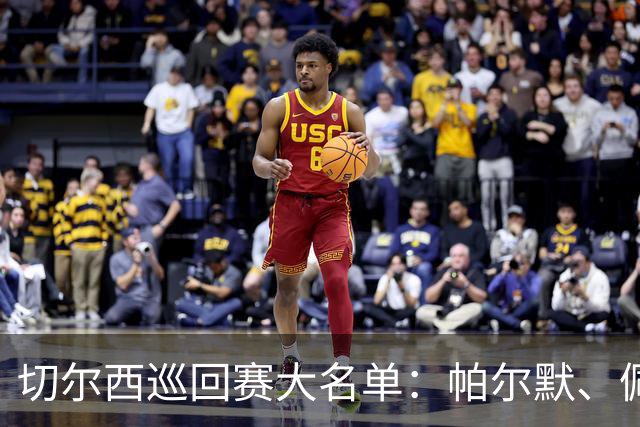 切尔西巡回赛大名单：帕尔默、佩德罗领衔，帕莱斯特拉在列