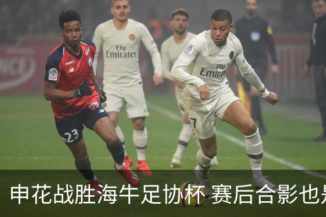 申花战胜海牛足协杯 赛后合影也是见到盖伊